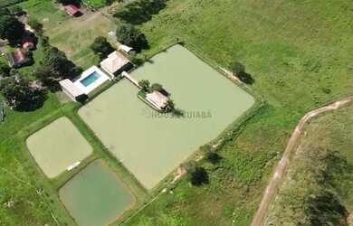 Imagem 6: fazenda de 159 hectares em Buritis, Minas Gerais