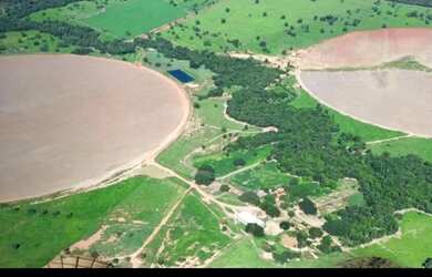 Imagem 2: Vende-se uma excelente fazenda