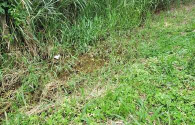 Imagem 3: Sítio 10.000 metros em Cosmopolis