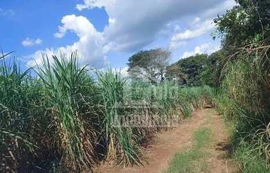 Imagem 1: Fazenda à venda, 72 alqueires por R$ 14.400.000 na região de São Simão/SP