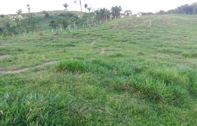 Imagem 2: Vende-se uma linda fazenda