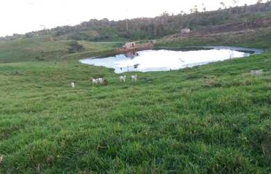 Imagem 3: Vende-se uma linda fazenda