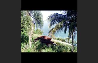 Imagem 4: Ilhabela casa Ilhote 2 suítes linda vita