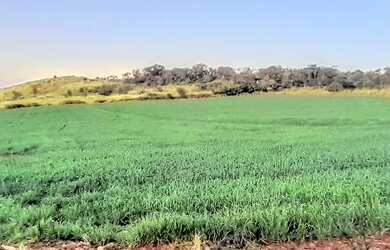 Imagem: A fazenda e está localizado em Gleba Fazenda Palhano, Londrina