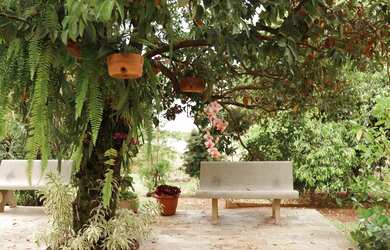 Imagem 15: Venda Commercial / Agricultural S o Jos Da Lapa MG