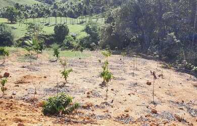 Imagem 4: Lote com mil metros quadrados