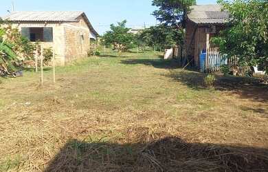 Imagem 2: Vendo um terreno na BR 319