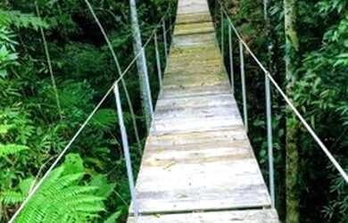 Imagem 10: Chácara Juquitiba- Miracatu