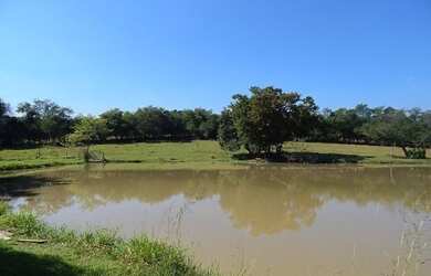 Imagem: A fazenda está localizado em Porto Feliz, SP à venda por R$480.000