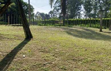 Imagem 1: TERRENO COM ESCRITURA EM SUZANO