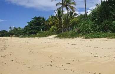 Imagem 7: Terreno em Praia para Venda em Porto Seguro, Arraial D Ajuda