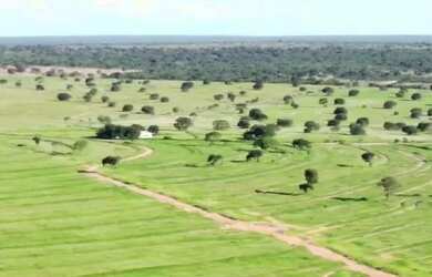 Imagem: A fazenda possui 227m² de Área e está localizado em Centro