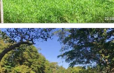 Imagem 3: Vende-se uma excelente fazenda de 1.402 hectares