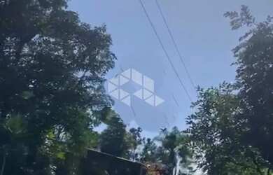 Imagem 7: Chácara com 5 hectares no Morro da Canastra em Farroupilha com casa,...