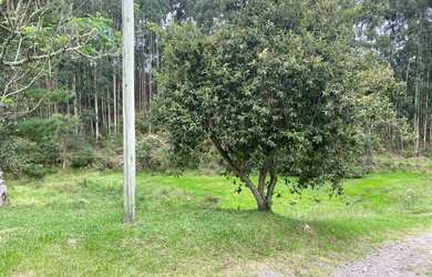 Imagem 6: Lindo terreno em Rio Rufino