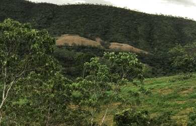 Imagem 6: Fazenda no município de Santa Cruz de Goiás com 83 alqueires para cria...