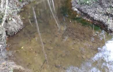 Imagem 4: Chácara Juquitiba- Miracatu