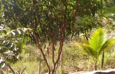 Imagem: O terreno possui 1.450m² de Área e está localizado em Porto