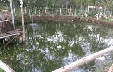 Imagem: A chácara possui 2600m² de Área e está localizado em Vila