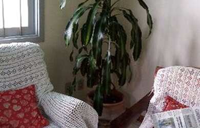 Imagem 6: Porto Alegre - Casa Padrão - Guarujá