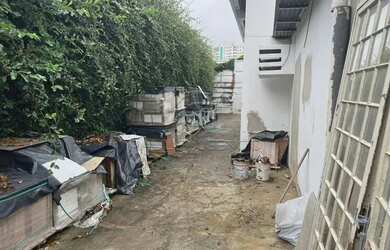 Imagem 15: Londrina - Galpão/Depósito/Armazém - Jardim Shangri-la A