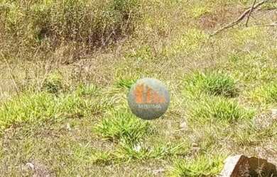 Imagem 2: Fazenda à venda, 62.92 hectares por R$ 2.400.000 - Zona Rural - Luziânia/GO