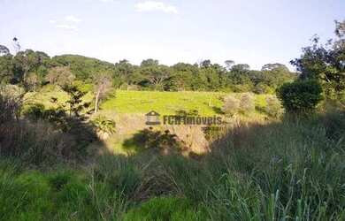 Imagem: A fazenda possui 100m² de Área e está localizado em Porto