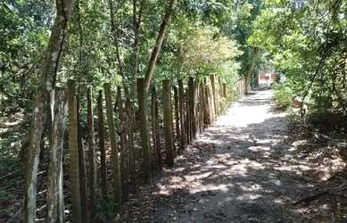 Imagem 9: Terreno em Praia para Venda em Porto Seguro, Arraial D Ajuda