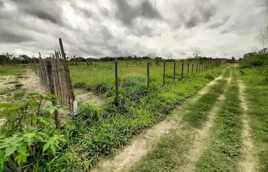 Imagem 3: Lotes à Venda no Mutirão Aramari/BA - Lote 103 - QD F - 216 m2