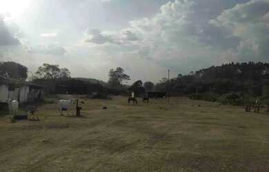 Imagem 6: Sítio à Venda, Floresta Escura, São Pedro, SP