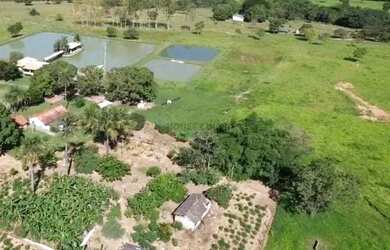 Imagem 5: fazenda de 159 hectares em Buritis, Minas Gerais