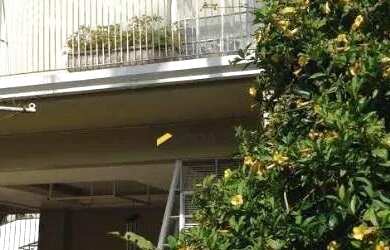 Imagem 4: Casa com 3 dormitórios, 600 m² - venda por R$ 2.300.000,00 ou aluguel por R$ 7.500,00/mês