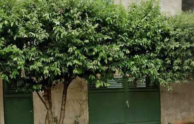 Imagem: Ampla Casa em Birigui c/ 3 quartos e vagas de garagem, Portal