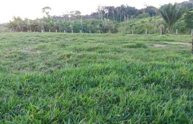 Imagem: A fazenda possui 132m² de Área Privada e está localizado