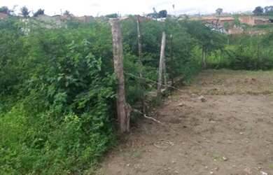 Imagem 2: Terreno lagarto se no albano 1