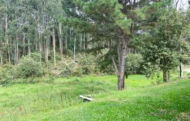 Imagem 7: Lindo terreno em Rio Rufino