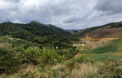 Imagem: A fazenda possui 58000m² de Área e está localizado em Domingos