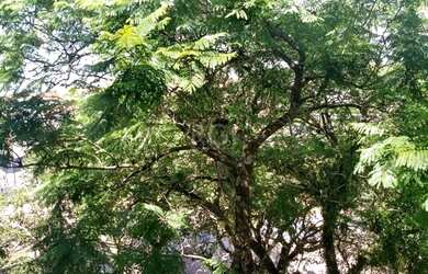 Imagem 13: Porto Alegre - Apartamento Padrão - Jardim Lindóia