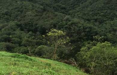 Imagem 4: Fazenda no município de Santa Cruz de Goiás com 83 alqueires para cria...