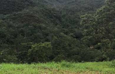 Imagem 5: Fazenda no município de Santa Cruz de Goiás com 83 alqueires para cria...