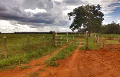 Imagem 1: Sitio barato demais 1.300.000 - 10 alqueires em Alvares Florence- perto...