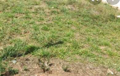 Imagem: O terreno possui 260m² de Área e está localizado em Setor