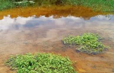 Imagem: A fazenda possui Imóvel novo e está localizado em Mundo Novo