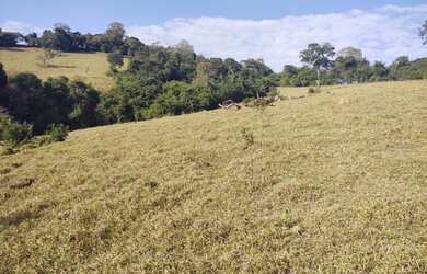 Imagem: O terreno possui 96000m² de Área e está localizado em Estiva