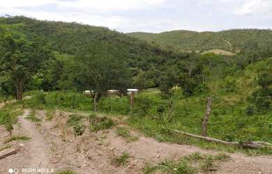 Imagem 11: Fazenda no município de Santa Cruz de Goiás com 83 alqueires para cria...