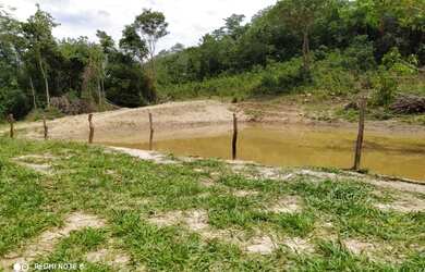 Imagem 8: Fazenda no município de Santa Cruz de Goiás com 83 alqueires para cria...