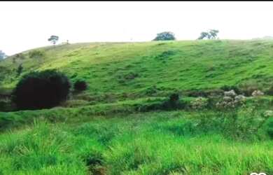 Imagem 6: Ubatã Bahia, Fazenda de Pecuária, Piscicultura e Cacau, linda área