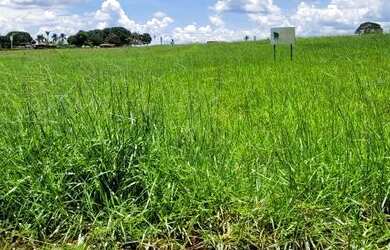 Imagem: A casa em condomínio possui 4 Dormitórios, 4 Banheiros, 2