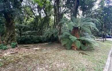 Imagem: O terreno possui 1.110m² de Área e está localizado em Gramado
