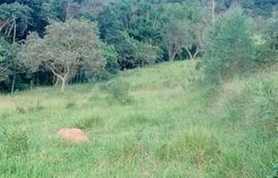 Imagem 9: Oportunidade de terreno de 69000 m2 em Nazaré Paulista